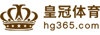 Logo 完美